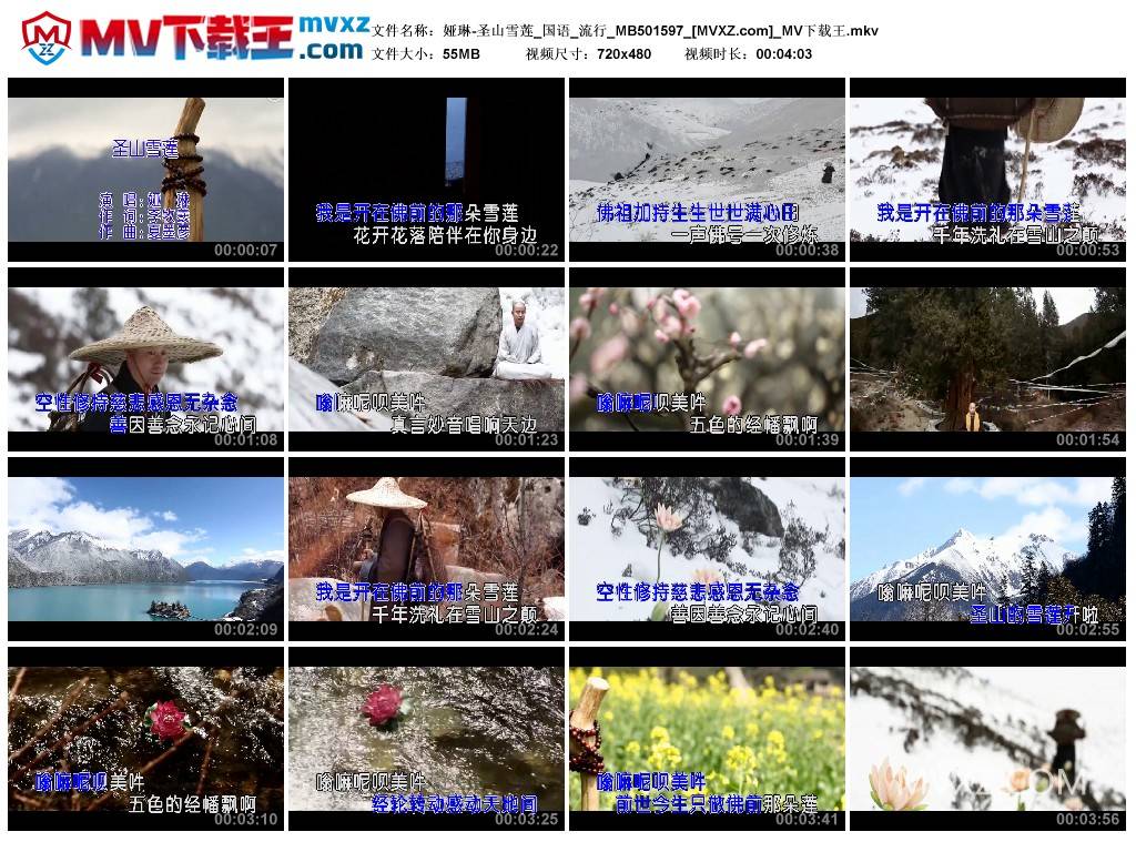 娅琳-圣山雪莲_国语_流行_MB501597